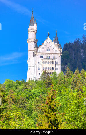 Vista del Castello di Neuschwanstein e sulle montagne Foto Stock