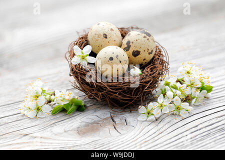 Natürliche Oster Dekoration Foto Stock