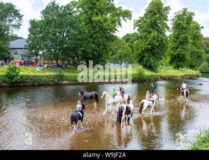 Appleby-in-Westmoreland, Cumbria, Inghilterra. Il Appleby Horse Fair, un incontro annuale di zingari e nomadi e i loro cavalli. Foto Stock