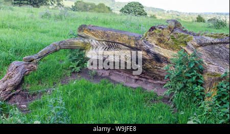 Castello Village Bolton, vicino a Bolton Castle, Wensleydale, North Yorkshire, Inghilterra. Strana scultura in legno di un coccodrillo Foto Stock