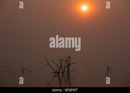 Africa rosso tramonto sul lago Kariba, Zimbabwe Foto Stock