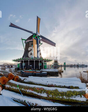 Mulini a vento lungo il fiume Zaan chiamato De Zoeker, De Kat, Poelenburg, Zaandam, Noord-Holland, , Paesi Bassi, 30071109.Caption locale *** windmil Foto Stock