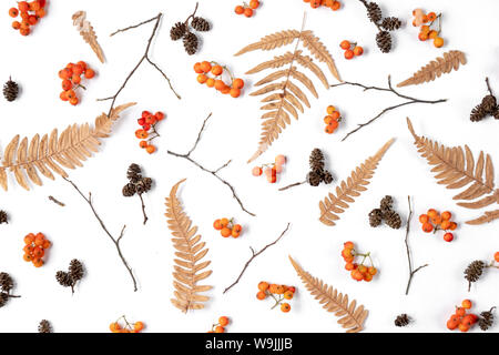 Modello realizzato di berry rowan, essiccata foglie di felce, coni su sfondo bianco. Autunno Inverno concetto. Piatti creativi di laici che, vista dall'alto, spazio di copia Foto Stock