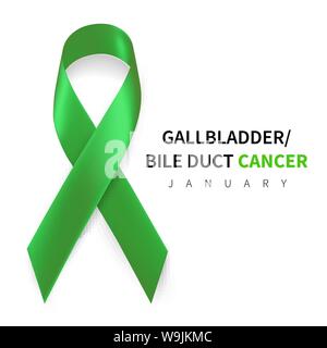 Della cistifellea e del dotto biliare consapevolezza del cancro al mese. Kelly realistico nastro verde simbolo. Medical Design. Illustrazione Vettoriale. Illustrazione Vettoriale