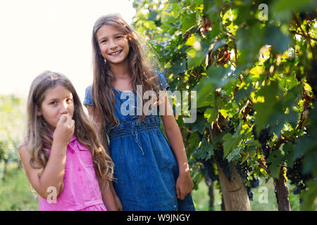 Giovani ragazze felici di mangiare uva in vigna Foto Stock