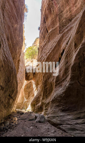 Avakas gorge, Agios Georgios Pegeias, Cipro, Cipro, 30070169 Foto Stock