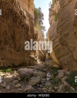 Avakas gorge, Agios Georgios Pegeias, Cipro, Cipro, 30070167 Foto Stock