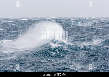 Gale force westerly winds costruire grandi onde nel passaggio di Drake, Antartide, regioni polari Foto Stock
