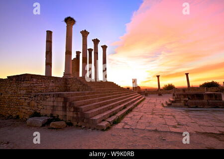 Scavi della città romana, Volubilis, Sito Patrimonio Mondiale dell'UNESCO, Marocco, Africa Settentrionale, Africa Foto Stock