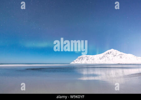 Luci del nord (Aurora boreale) sulle vette innevate si riflette nel mare, Skagsanden beach, Flakstad, Nordland county, Isole Lofoten in Norvegia Foto Stock