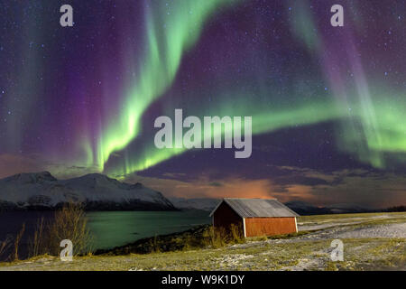 Northern Lights illumina la cabina in legno a Svensby, Alpi Lyngen, Troms, Lapponia, Norvegia, Scandinavia, Europa Foto Stock