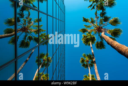 Palme e palazzo di vetro, il worm-eye, Hollywood, Los Angeles, California, Stati Uniti d'America, America del Nord Foto Stock