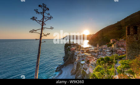 Vernazza, Cinque Terre, Sito Patrimonio Mondiale dell'UNESCO, Liguria, Italia, Europa Foto Stock