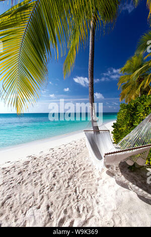 Amaca sulla spiaggia tropicale, Maldive, Oceano Indiano, Asia Foto Stock