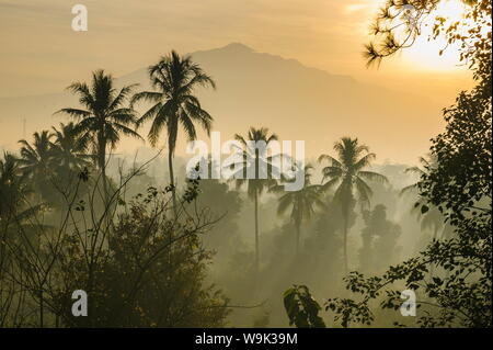 La mattina presto una vista sulla campagna che circonda il complesso del tempio di Borobodur, Sito Patrimonio Mondiale dell'UNESCO, Java, Indonesia, Asia sud-orientale, Asia Foto Stock