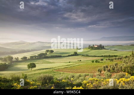 Podere Belvedere di sunrise, San Quirico d'Orcia, Val d'Orcia, Sito Patrimonio Mondiale dell'UNESCO, Toscana, Italia, Europa Foto Stock