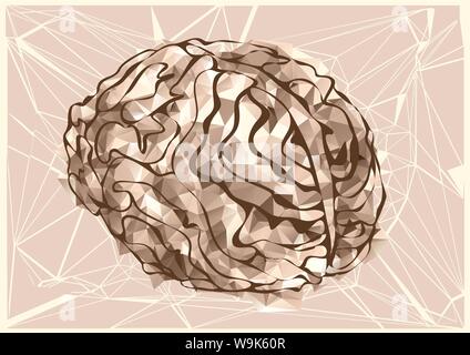 Abstract cervello umano isolato su sfondo bianco Illustrazione Vettoriale