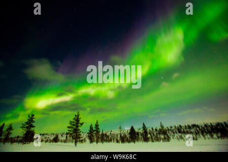 Aurora Boreale (le luci del nord) su Kakslauttanen Igloo Village West, Saariselka, Finlandia e Scandinavia, Europa Foto Stock