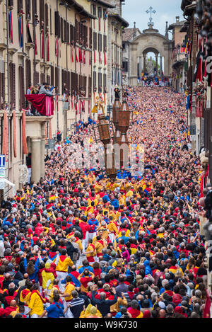 Festival di ceri, gara di Ceri nella città, Gubbio in Umbria, Italia, Europa Foto Stock