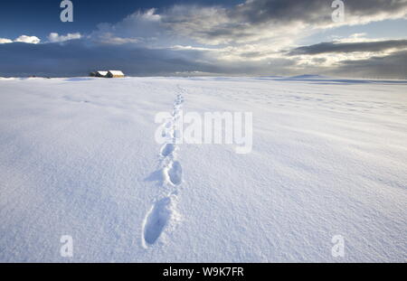 Orme in fresco di neve caduti che conducono fuori nella distanza verso il drammatico cielo invernale, Alnmouth, nelle vicinanze Alnwick, Northumberland, England, Regno Unito Foto Stock