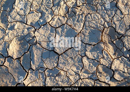 Fango essiccato incrinato/messa a terra a Sossusvlei nell antico deserto del Namib vicino a Sesriem, Namib Naukluft Park, Namibia, Africa Foto Stock