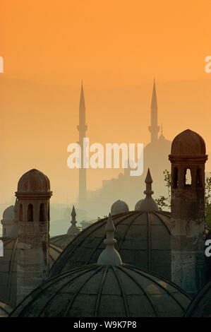 Vista dal complesso di Suleymaniye il Bosforo, Istanbul, Turchia, Europa Foto Stock