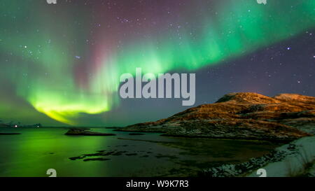 Rosa e verde aurora boreale (Northern Lights) fotografato riflessa in mare nei pressi di Tromso, Norvegia, Scandinavia, Europa Foto Stock