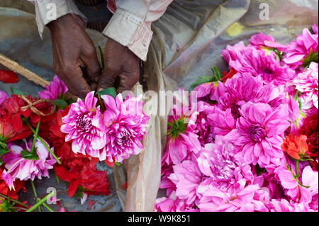 Mullik Ghat flower market, Kolkata (Calcutta), West Bengal, India, Asia Foto Stock