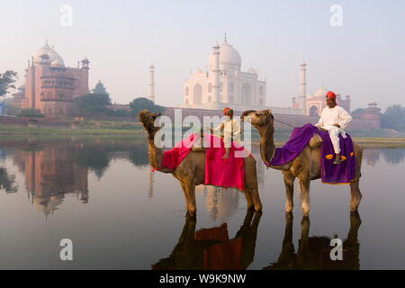 Uomo e ragazzo cavalcare cammelli nel fiume Yamuna davanti al Taj Mahal, Sito Patrimonio Mondiale dell'UNESCO, Agra, Uttar Pradesh, India, Asia Foto Stock