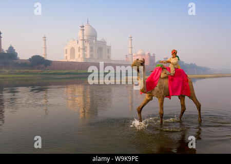 Boy riding camel nel fiume Yamuna davanti al Taj Mahal, Sito Patrimonio Mondiale dell'UNESCO, Agra, Uttar Pradesh, India, Asia Foto Stock