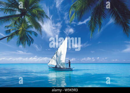 Tradizionale dhoni, Maldive, Oceano Indiano, Asia Foto Stock