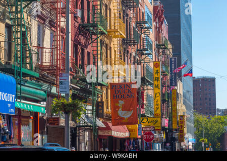 A Chinatown e Lower Manhattan, Manhattan, New York, Stati Uniti d'America, America del Nord Foto Stock