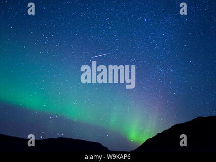 Le luci del nord (l'Aurora Boreale, Vik, Islanda, regioni polari Foto Stock