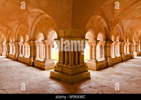I chiostri di Fontenay Abbey, Sito Patrimonio Mondiale dell'UNESCO, Cote d'Or, Borgogna, in Francia, in Europa Foto Stock