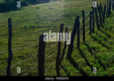 Un paletto di legno recinzione in esecuzione attraverso ranchland pastorale Foto Stock