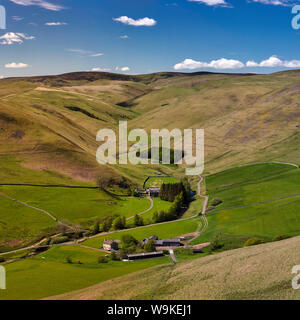 Vedute di paesaggi in primavera a Coquetdale superiore vicino Shilmoor, parco nazionale di Northumberland, Northumberland, England, Regno Unito Foto Stock