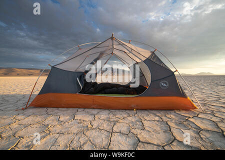 Mattina camp sul deserto Alvord Playa, Oregon Foto Stock
