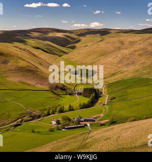 Vedute di paesaggi in primavera a Coquetdale superiore vicino Shilmoor, parco nazionale di Northumberland, Northumberland, England, Regno Unito Foto Stock