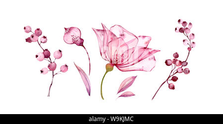 Acquerello trasparente set floreali isolato su bianco raccolta di foglie e bacche, rami raccolta in rosa pastello, grigio, viola, porpora, botanici Foto Stock