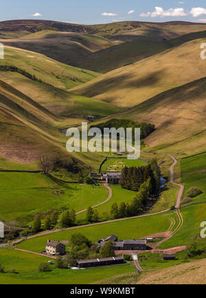 Vedute di paesaggi in primavera a Coquetdale superiore vicino Shilmoor, parco nazionale di Northumberland, Northumberland, England, Regno Unito Foto Stock