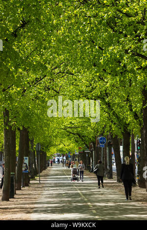 Paesaggio urbano con verde vegetazione in Strandsvagen Street di Ostermalstorg, passerella pedonale, Stoccolma. Svezia Foto Stock