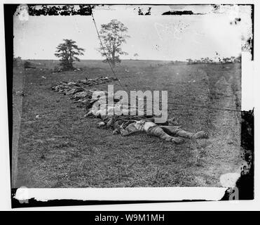 Antietam, Md. corpi dei morti confederati riuniti per la sepoltura Abstract: Selezionato Guerra civile fotografie, 1861-1865 Foto Stock