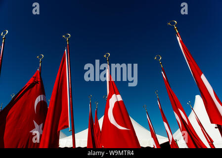 Izmir, Turchia - 29 Ottobre 2015: bandiere turche che trasportano gli studenti al festival del Giorno della Repubblica di Turchia. Foto Stock