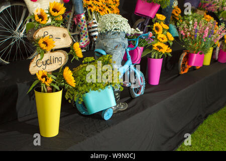 Un riciclaggio di display di girasole al 2019 Southport Flower Show Foto Stock