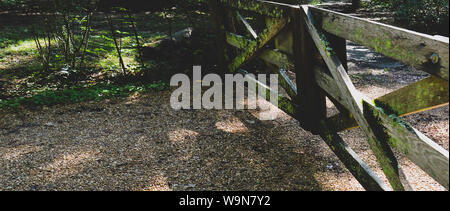 Vecchi cancelli in legno con leichen e alghe chiudere un ingresso lungo una vecchia strada di campagna nel sud-est USA Foto Stock