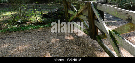 Vecchi cancelli in legno con leichen e alghe chiudere un ingresso lungo una vecchia strada di campagna nel sud-est USA Foto Stock