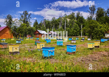 Azienda agricola di apicoltore, molti in legno colorato alveari in zone agricole, soleggiata giornata estiva. Foto Stock