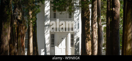 L ingresso dei premi Pulitzer Autore, William Faulkner's home, un primitivo Revival Greco design, noto come Rowan Oak in Oxford, MS Foto Stock