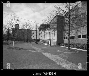 Becton Dickinson & Co., Rutherford, New Jersey. Foto Stock