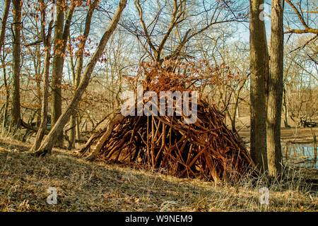 Tenda casetta fatta da rami secchi di alberi fondata nella foresta Illinois Foto Stock